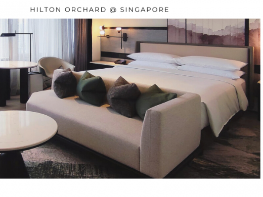 Hilton Orchard @ Singapore (2022)